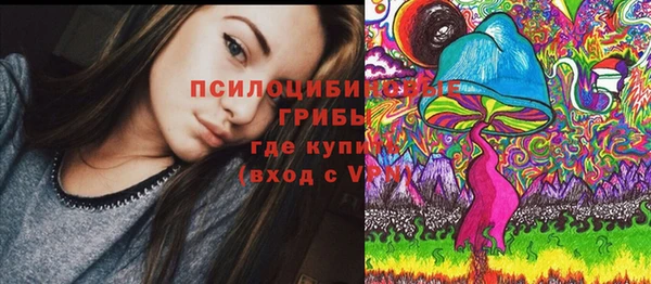 альфа пвп Касимов