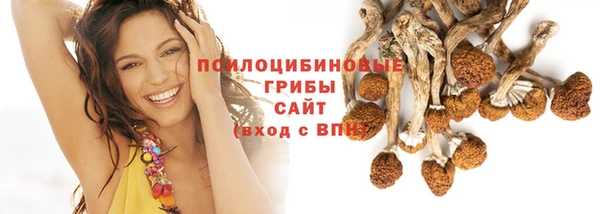твердый Кодинск