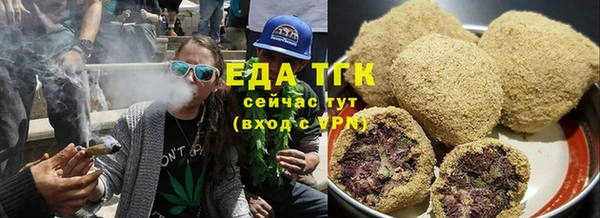индика Карпинск