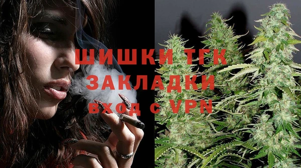 мдпв Козельск