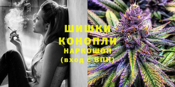 индика Карпинск