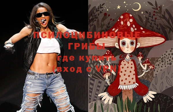 мдпв Козельск