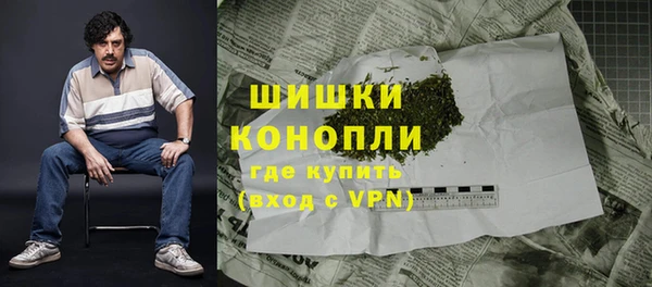 индика Карпинск