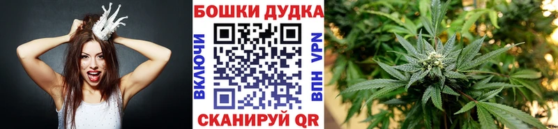 цена   Куса  Бошки марихуана Ganja 